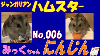 ハムスター にんじん