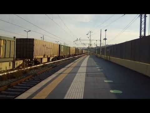 treno merci in transito a Monterotondo RM