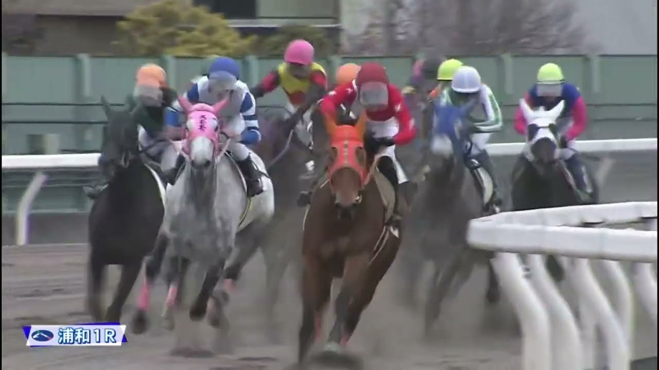 【初対決•迷実況】ｽﾓﾓﾓﾓﾓﾓﾓﾓ と ﾊﾞﾗﾗﾗﾗﾗﾗが同じレースに出走2026/1/7浦和競馬1R