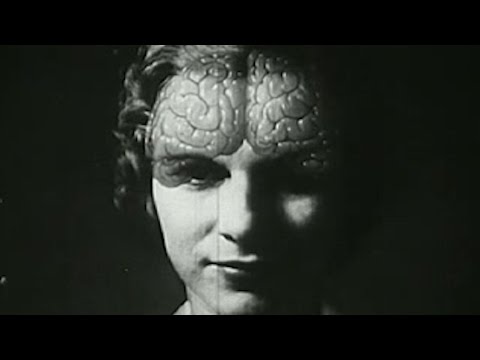 Mózg - centrum dowodzenia