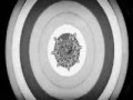 Angels of Liberty - Gears Of The Atom Man 