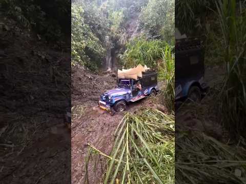 hermoso jeep j6 llamado el cohete en Manzanares Caldas cargado de café #campo #cafe #jeep