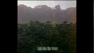 AND ALSO THE TREES - Midnight Garden