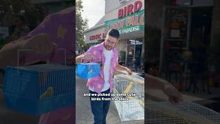Parrot Wizard Presentation at Parrot Palooza 2026
