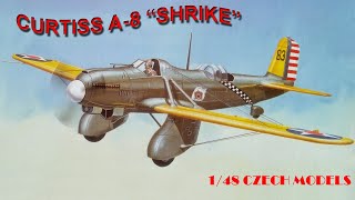 Времена. Curtiss time. Время Кертисса. История самолета "Curtiss A-8 Shrike". Постройка модели 1/48 фото