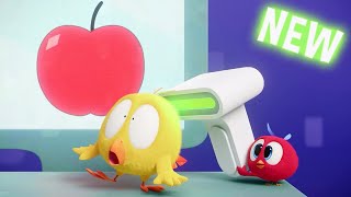 (NEW) Chicky Goes Shopping | Where's Chicky? | Cartoon Collection in English for Kids | New episodes