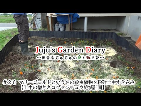 園芸 植物の粉砕