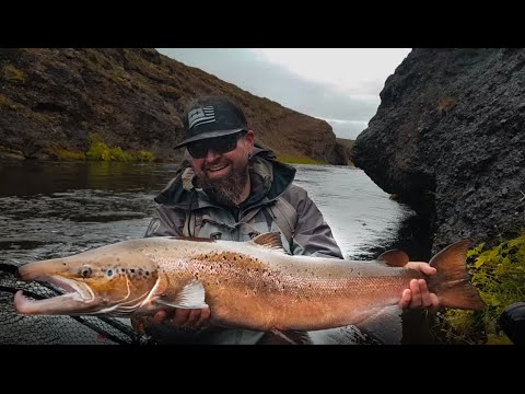 Atlantic salmon's Fly Fishing Videos