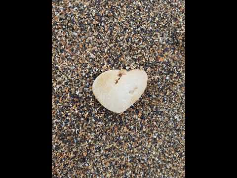 Tacerea spune multe ~ by Hajni Cuth