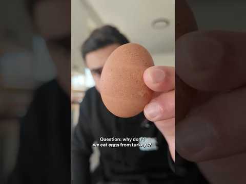 Turkey Eggs Cost $3–$4 Each — Here's the Economics Behind Why We Never Eat Them