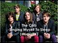 The Cab- Singing Myself To Sleep (Zzzz) Acoustic ...