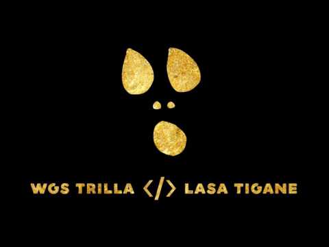 WGS TRILLA - LASĂ ŢIGANE [FREESTYLE AUDIO]