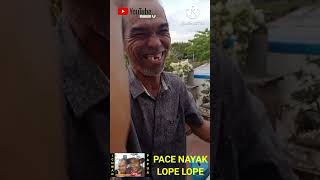 Download lagu PACE NAYAK & KODOK HIJAU. PART 2. #kodok #florafauna #ichwanpapua mp3