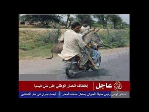 Scènes cocasses --- scenes of humor