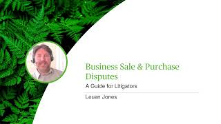 Business Sale & Purchase Disputes - A Guide for Litigators - Webinar