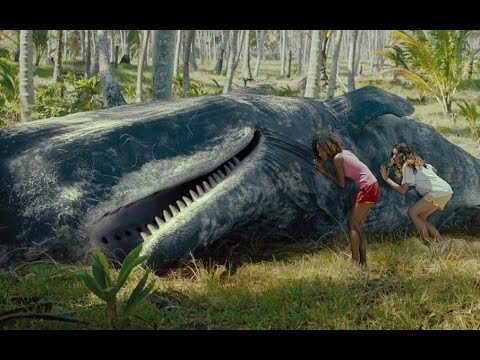 Sem Coracao 2023 1080p WEB DL NACIONAL 2 0