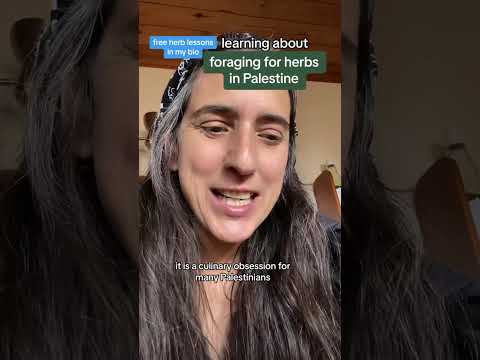 part 2: Where Nature Ends and Settlements Begin by Jumana Manna 