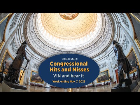 VIN and bear it — Congressional Hits and Misses