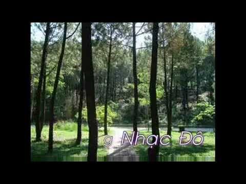 Thể hiện bởi Tô Ngọc Lan
