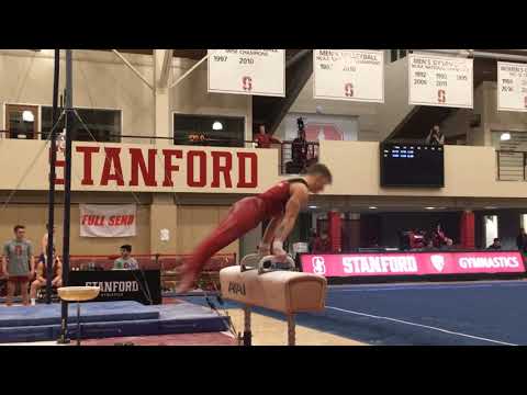 2019 NCAA Champion Ryan Sheppard, @ Stanford