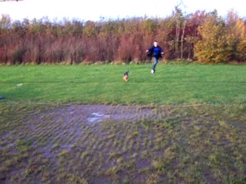 me and rufus running