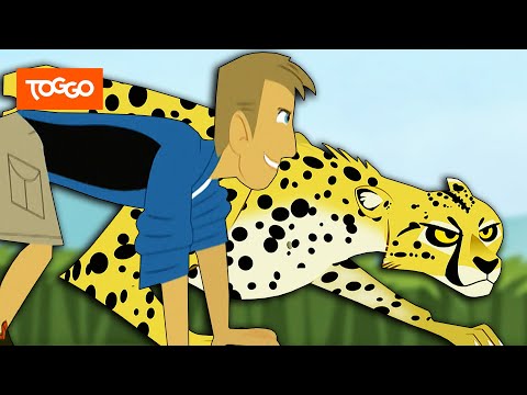 Go Wild! - Mission Wildnis | Das Gepardenrennen | Ganze Folge | TOGGO Serien