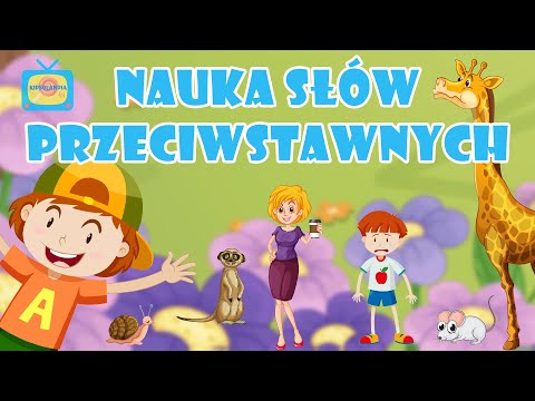 Przeciwieństwa- Bajka dla dzieci po polsku - Bajka edukacyjna dla dzieci