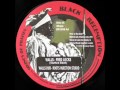 Fred Locks - Walls / Roots Injection Studio - Walls Dub