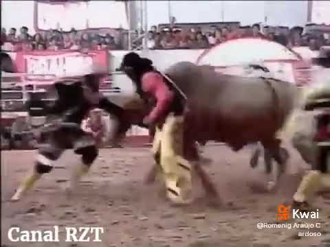 Luciano linhares (Rodeio de Americana)Rodeio em touros