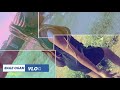 Reason Why Women Watch Porn Almost Killed By Kenyan Vixen