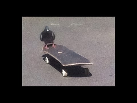 going kokomo - Royel Otis (SLOWED + REVERB)