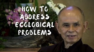 How to address ecological problems?