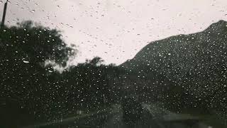 Bailo la pena/Macaco Viaje en carretera.