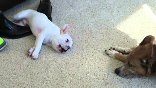 Don't even know what's happening