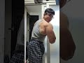 크리스마스트리 등에장착