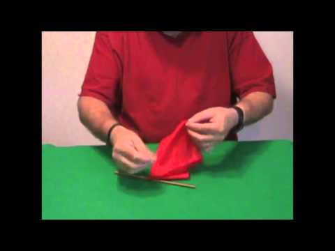 Ring and Things by Wild-Colombini