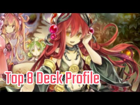 Yugioh Top 8 Traptrix Deck Profile
