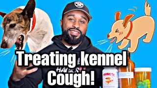 Treating kennel cough! Fix at Home 🏠