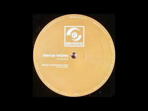 Marcus Intalex - Immersed