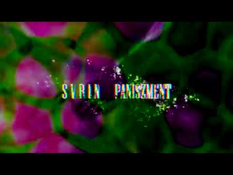 s v r i n - paniszment (Prod. Frame21)