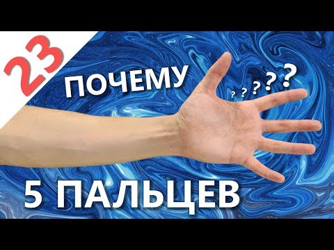 Почему у нас 5 пальцев? История эволюции человеческой руки (миллион лет до нашей эры)