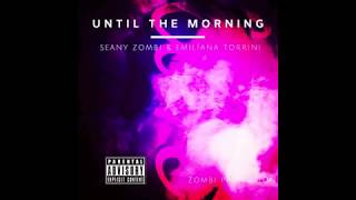Until the Morning - Seany ZOMBi &amp; Emilíana Torrini  (Remix)