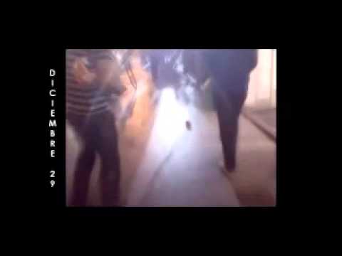 Luis Guerra and The CMQ Big Band .mp4