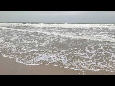 Port nova (parangipettai beach)