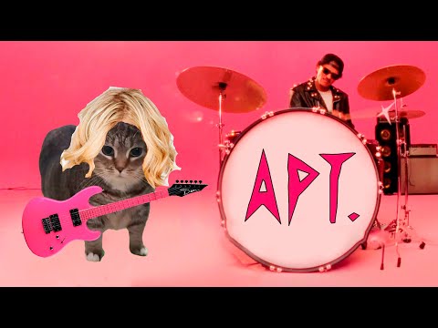 APT - OIIAOIIA CAT (COVER)