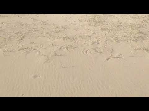 Oceanía del Polonio 23 de octubre de 2025_2