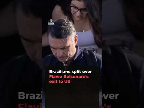Brazilians split over Flavio Bolsonaro's exit to US