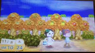 とびだせどうぶつの森 loup村づくり