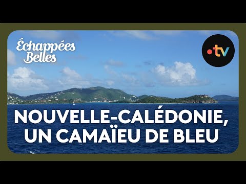 Nouvelle-Calédonie, un camaïeu de bleu - Échappées belles