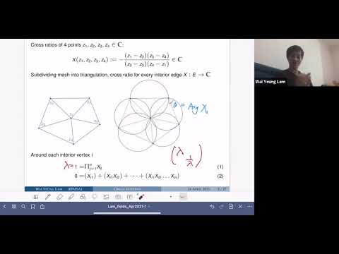 Circle patterns on surfaces with complex projective structures